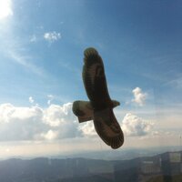 마음소리 (@kksslee) 's Twitter Profile Photo