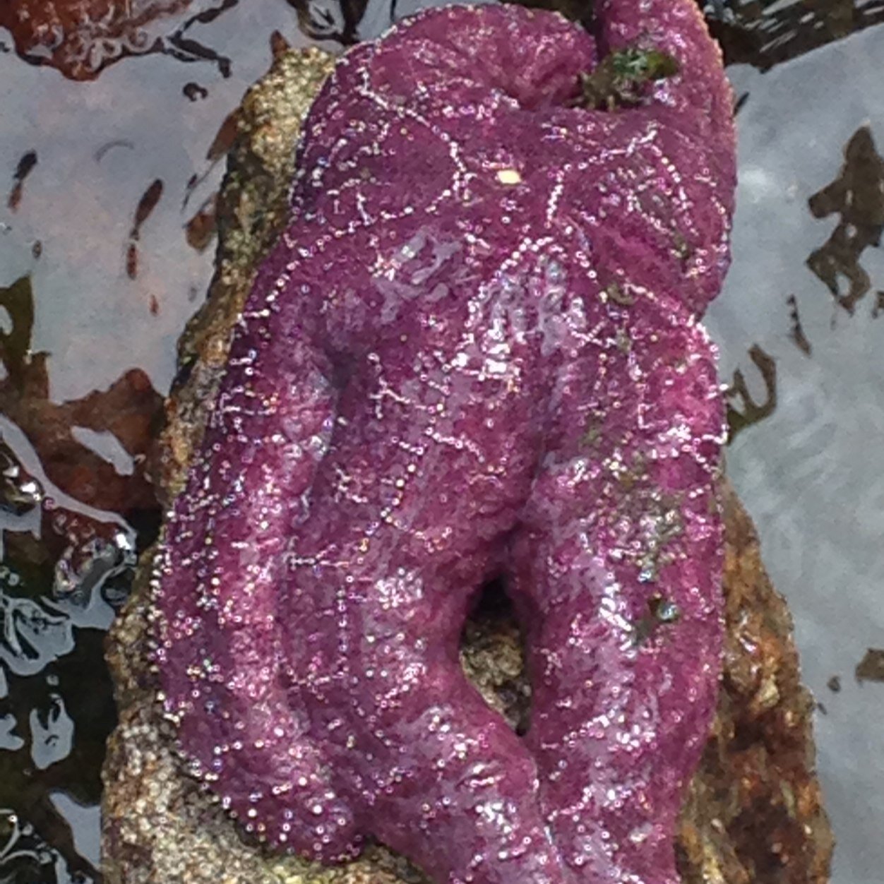 williamwendorf's profile picture. 