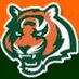 Bengals Track (@bengalstrack) Twitter profile photo