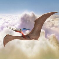 Pterodactyl (@pterodactyl) 's Twitter Profile