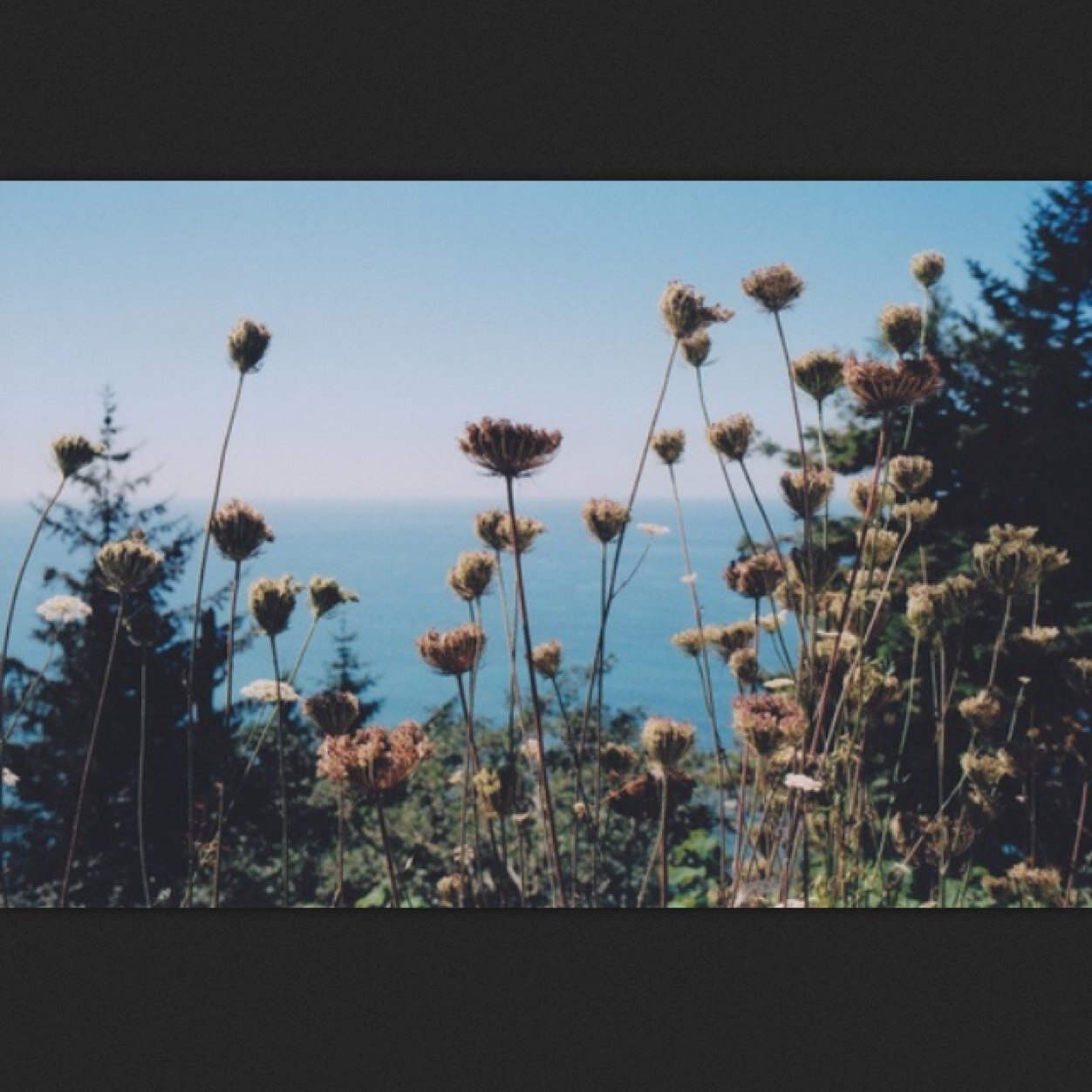 real_talkxoxo's profile picture. Always wishing i was in a better place