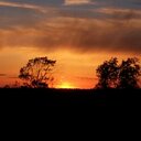 Carrie Rowe - @crowe1223 - Twitter