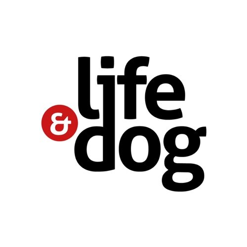 LIFE & DOG --- Modern Living with Man's Best Friend.