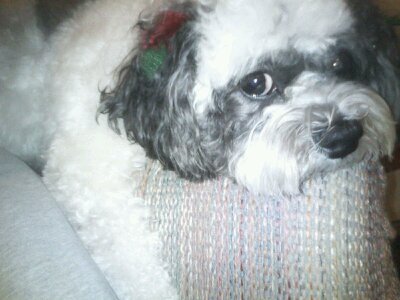 lesliew444's profile picture. 