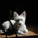 Sandra Chilton - @SandraChilton - Twitter