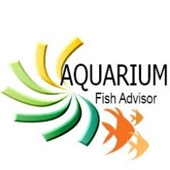 Learn all you need to know about keeping breading and raising healthy Tropical Fish!