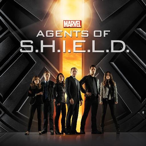 I #StandWithSHIELD. Elizabeth Henstridge faved me on 05/17/14! 

ps: Season 3 will be out in Fall!