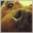 Pazgue's profile image