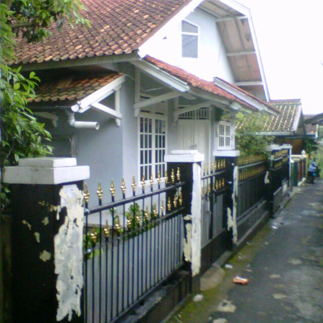 FindingRaima's profile picture. 