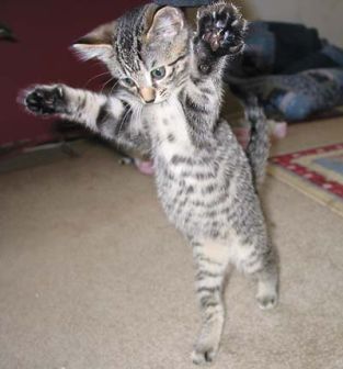 rekah's profile picture. 