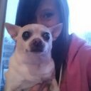 Jenny Herron - @JennyHerron1228 - Twitter