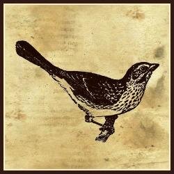 averymarydesign's profile picture. purveyor of vintage delights and whimsical wares...