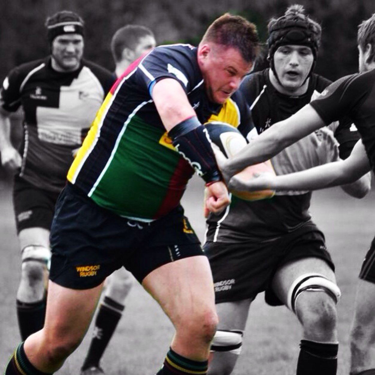 propalex3's profile picture. Rugby,gym,food and booze!