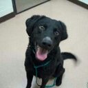 Casey McCabe - @caseymcduke1987 - Twitter