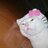 hayabusanokiwam's profile image