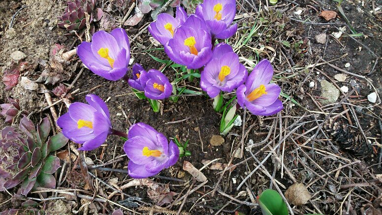 news, avid gardener, voracious reader, walking, cycling