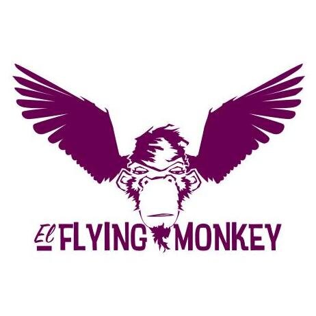ELFLYINGMONKEY's profile picture. Latin American Electronic future sounds| Based in Miami | Music curators | Fusion Folclore EDM