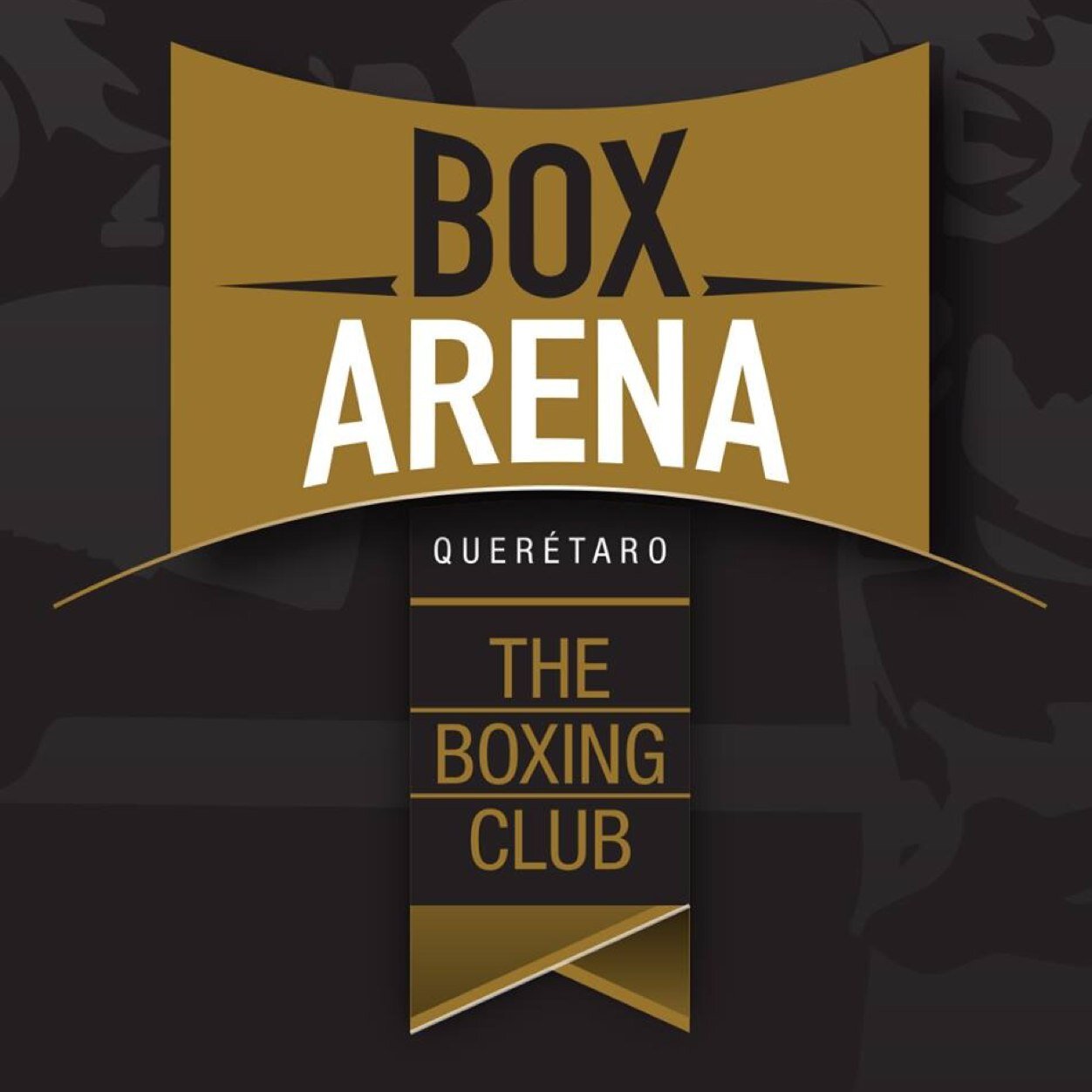 Box Arena Box Arena