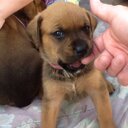 Caleb sheets - @itscalebsheets - Twitter