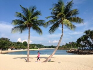 asianpropwatch's profile picture. Beach lover