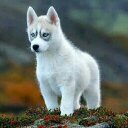 James Saylor - @jbsaylor48 - Twitter