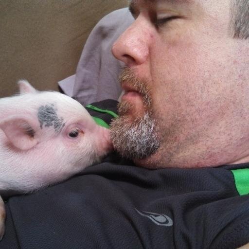 mjmii2000's profile picture. Pets make us better people.