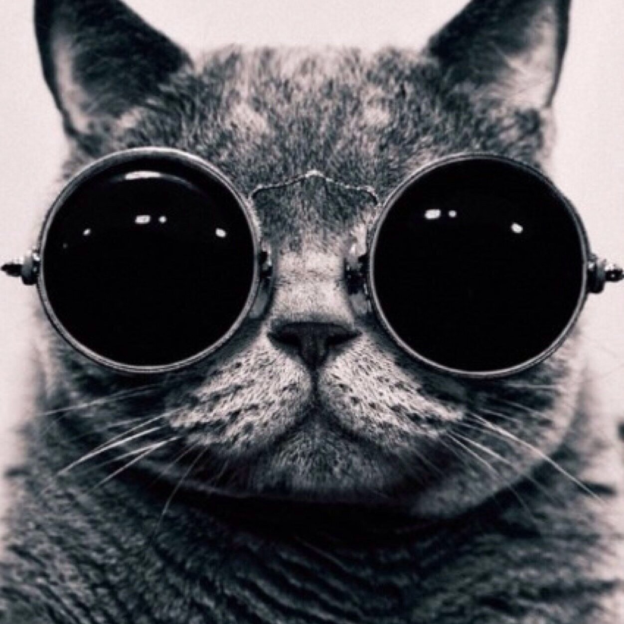 young, wild and free