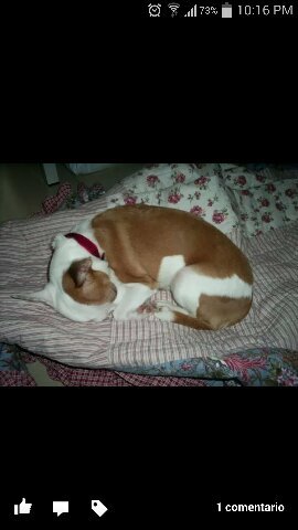 JilmadelC's profile picture. 