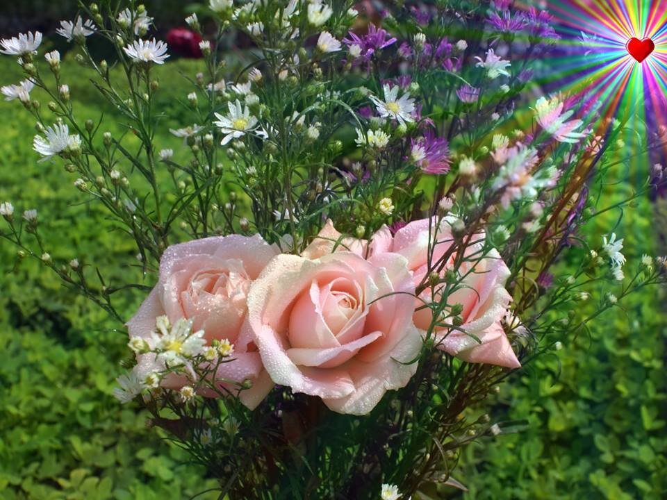 naaima18's profile picture. 