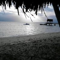 Gina @ CBI (@bartlett_gina) 's Twitter Profile