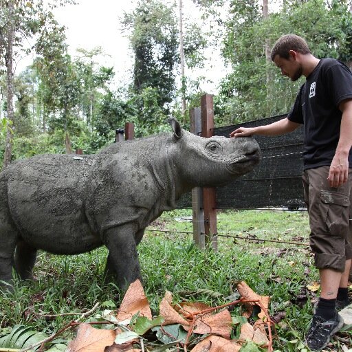 Conservation biology, genetics, ecology, camera trapping, Sumatran rhinos, beaked whales, leopards