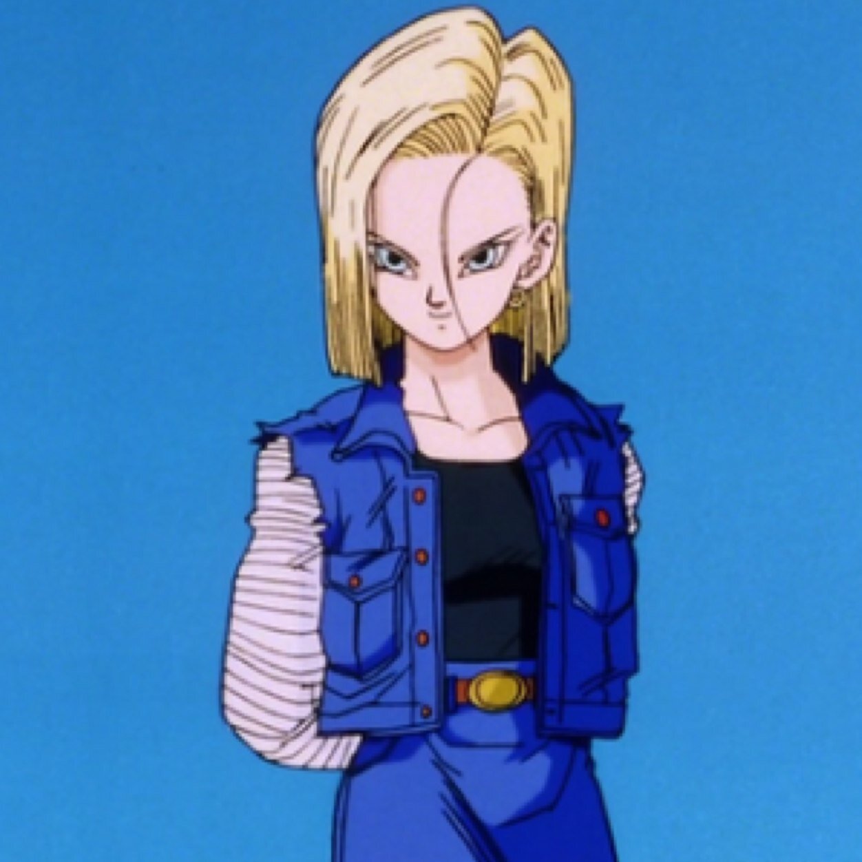 I'm Android 18. I'm an Android created by Gero. 17 killed him, so what? I don't need to be controlled by a freak like him. My twin brother is @CyborgHuman17.