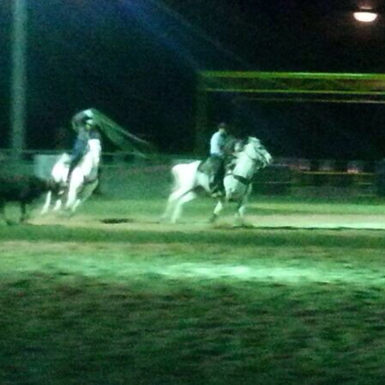 Roperleoanaya's profile picture. 