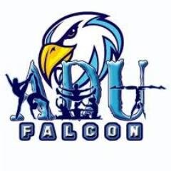 Update about SOARING FALCONS games, schedule and activities |