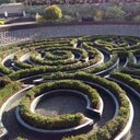 Anu Mathur - @Neuronut1968 - Twitter