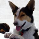 bernie connell - @bernieconnell3 - Twitter