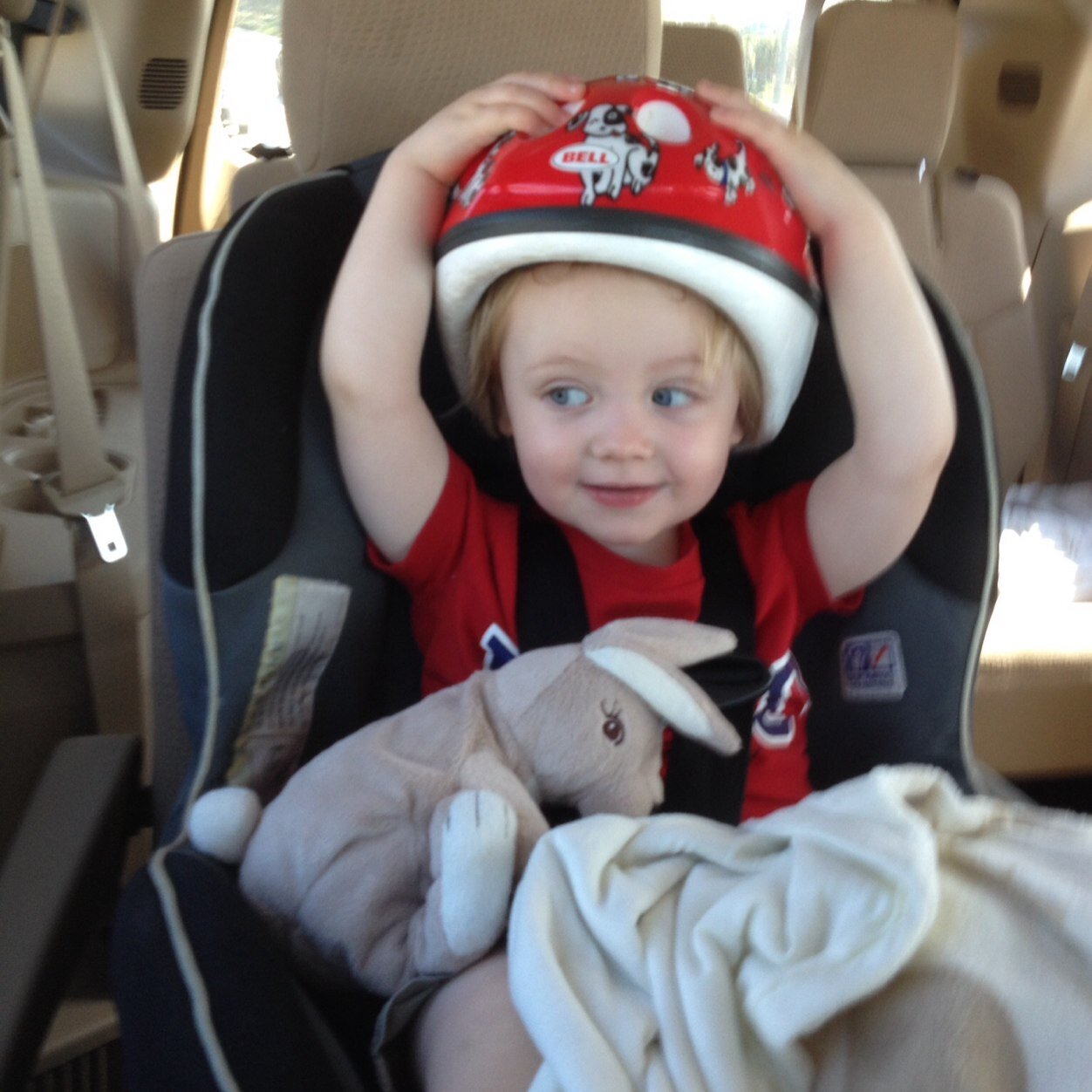 allan_daly's profile picture. Professional Recruiter,Professional Dad.lifelong liverpool supporter and part time runner