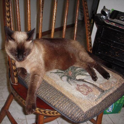 kertime's profile picture. Creative, former Lab Scientist;  grace and truth: Jesus follower; follow at your own risk