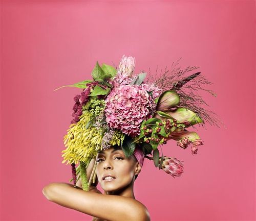 zap_mama's profile picture. The Official Zap Mama Tweet