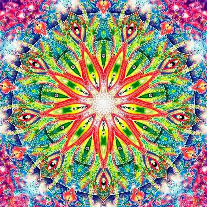 6bffce20411046e's profile picture. 