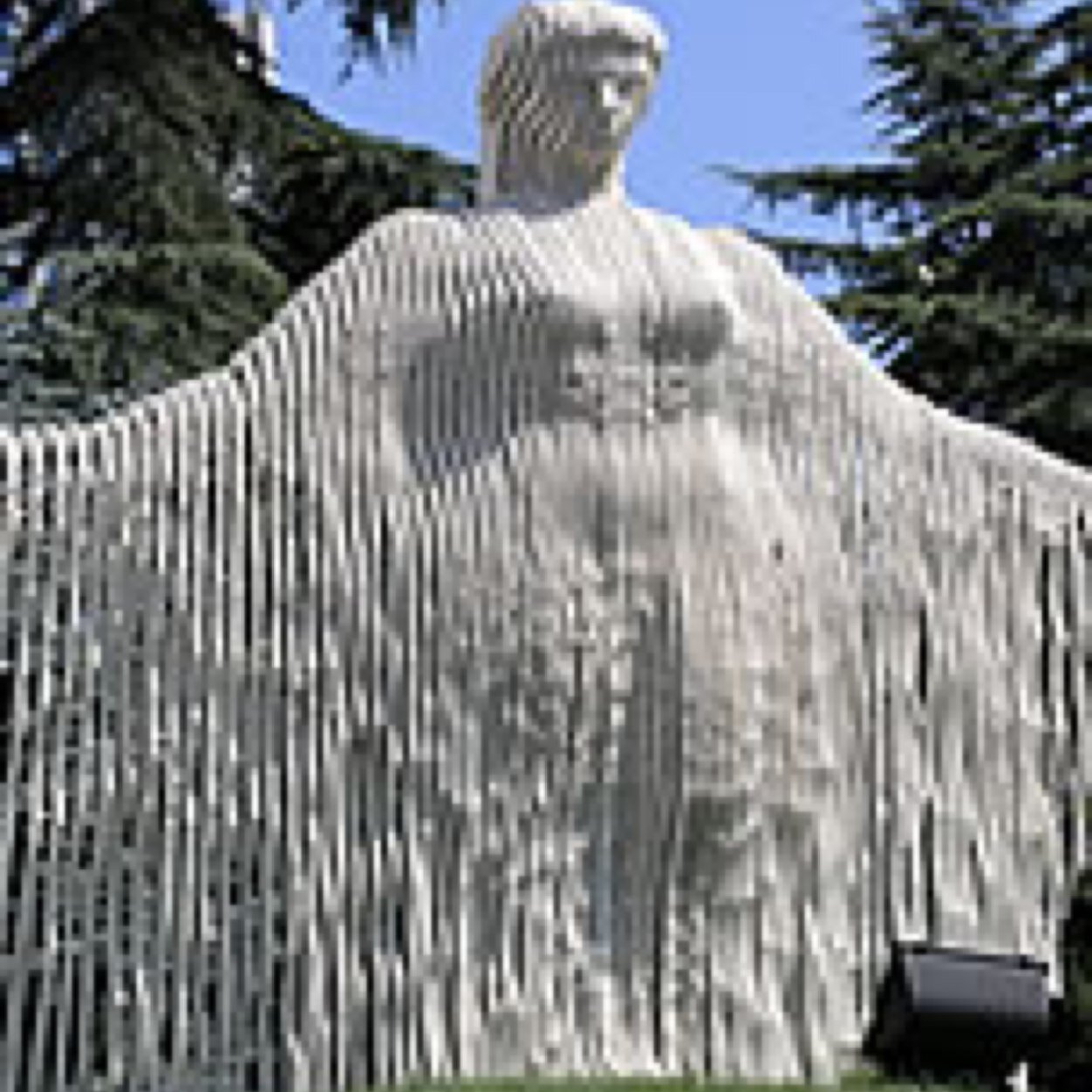 seyhankaya's profile picture. 