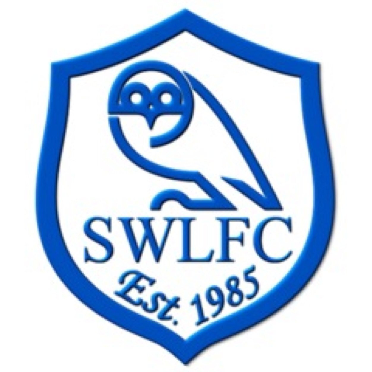 up the mighty Sheffield Wednesday the only team in Sheffield
