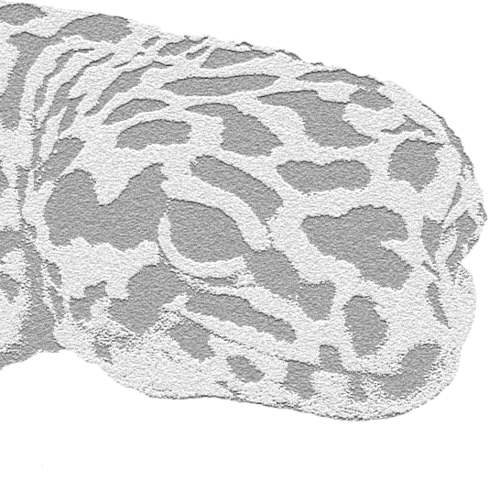 Generic Gecko (@GenericGecko) | Twitter