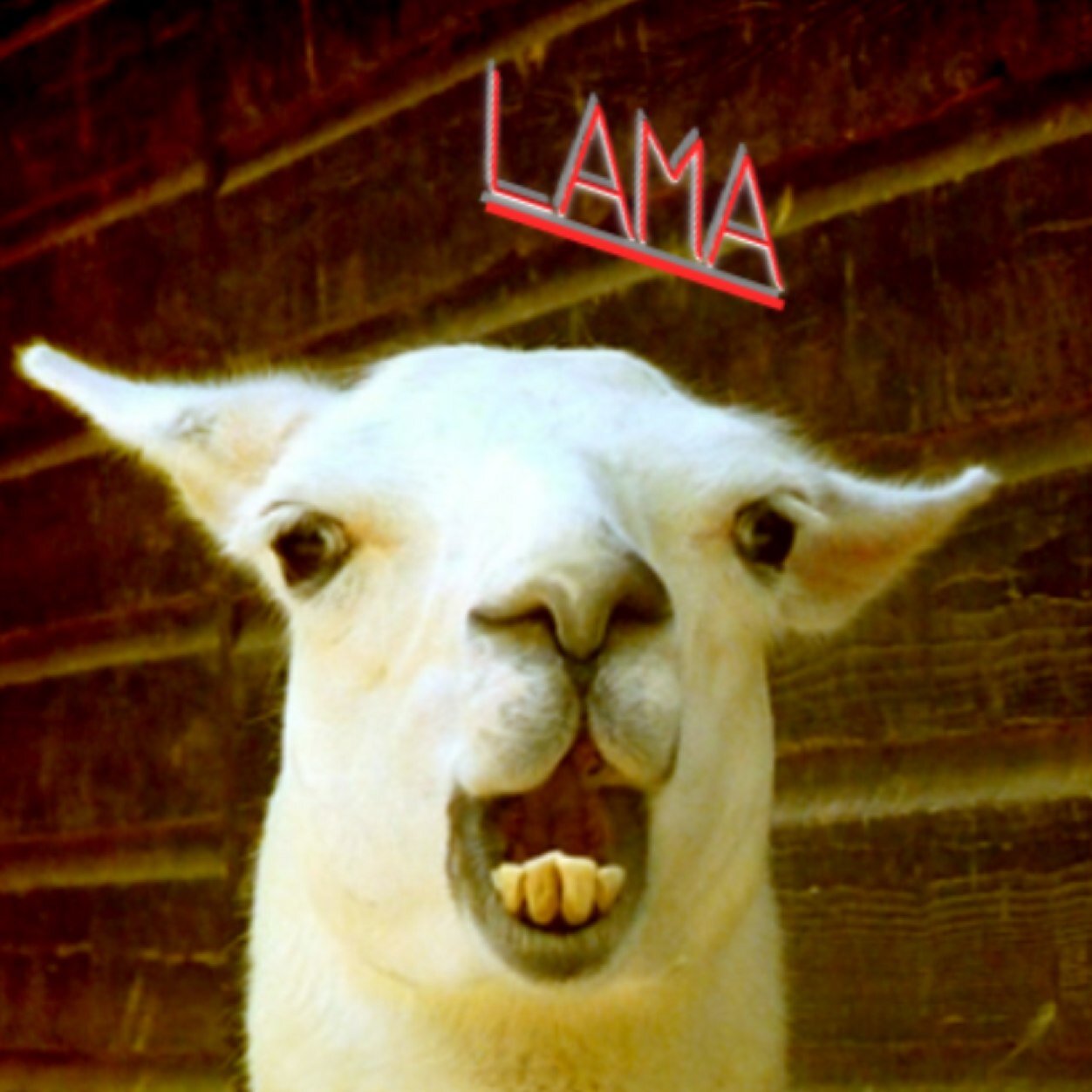 LamaOfSteel's profile picture. 