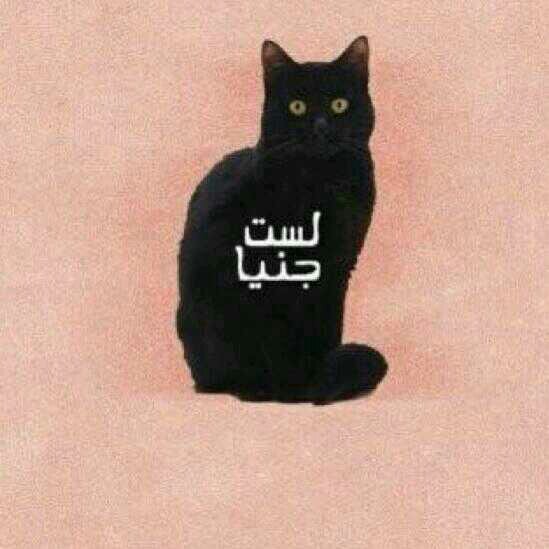 BasoomT2010's profile picture. تغريداتي تحكي واقعي ؤبعضا من تفاصيل حياتي عاشقه متابعيني اتفنن بالغناء وباردة لحد الجنون أعيش بمزاجي واتغافل عن كل مالا أريده ♡)'