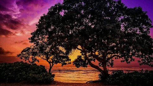 theLifeFactsXD's profile picture. 