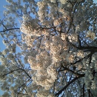 taketeke4646's profile image