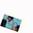 Yu_TaI7's profile image