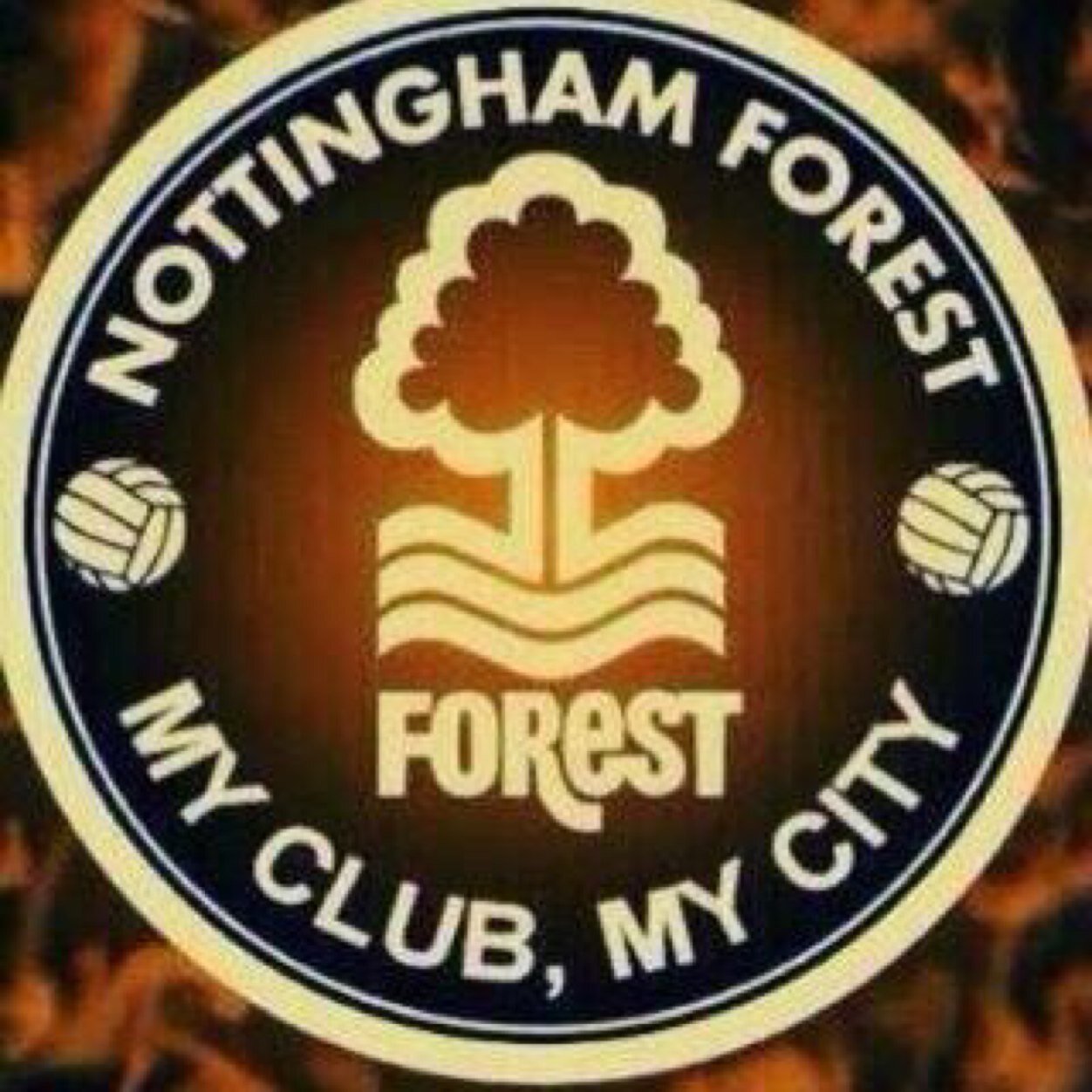 paulsimo25's profile picture. nottingham man ,forest fan and a hard rock lover  .proud  of my city and my football club