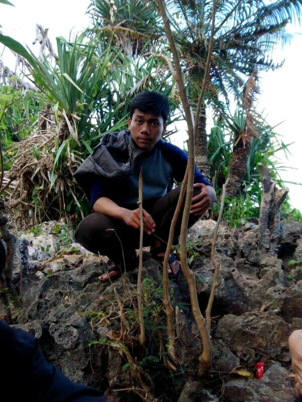 Seseorang dan Merupakan Bagian dari Masyarakat Yang Mendambakan Tatanan Masyarakat yg Baik